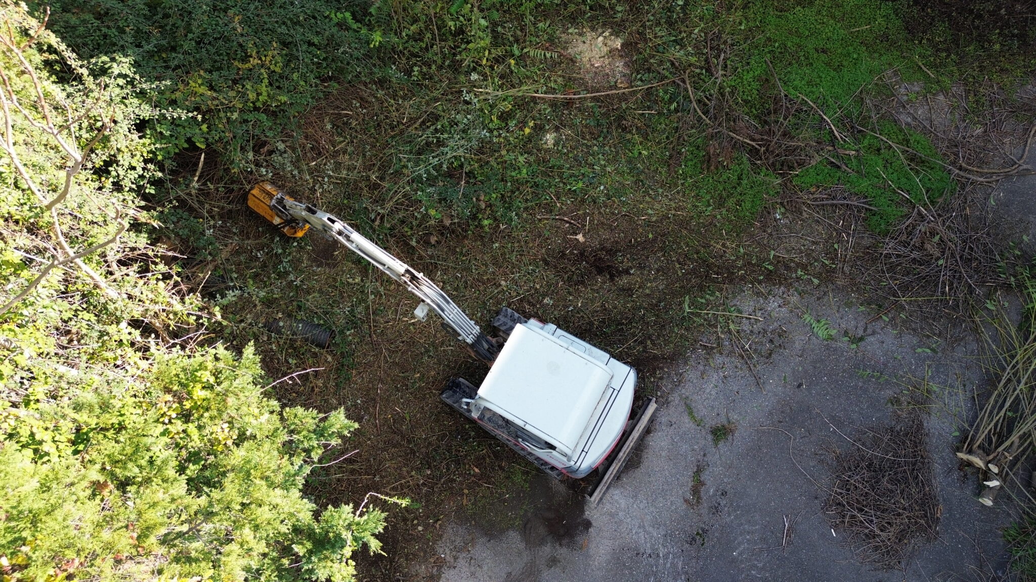 Obligations légales de débroussaillage dans le Gard