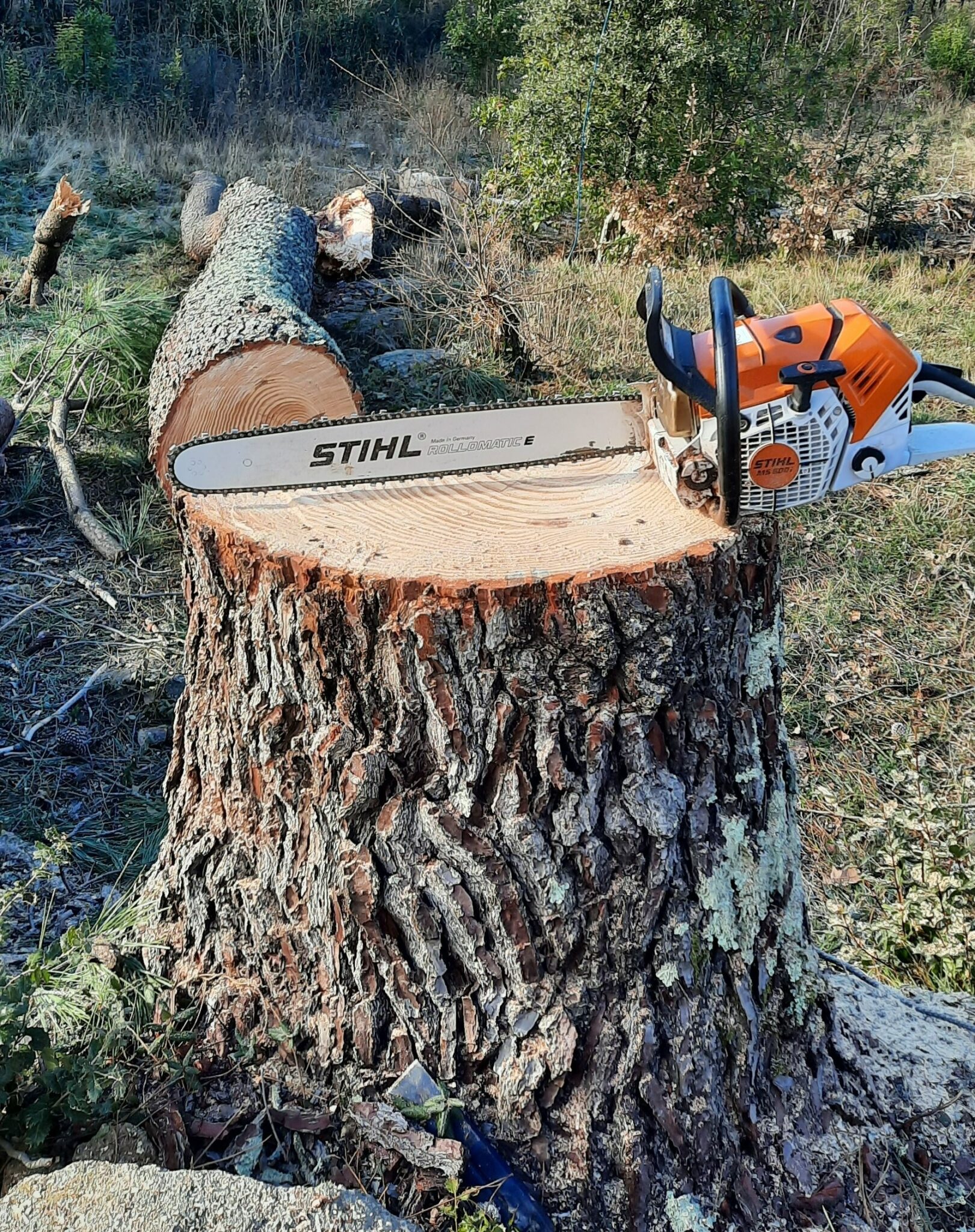 Valorisation écologique des déchets