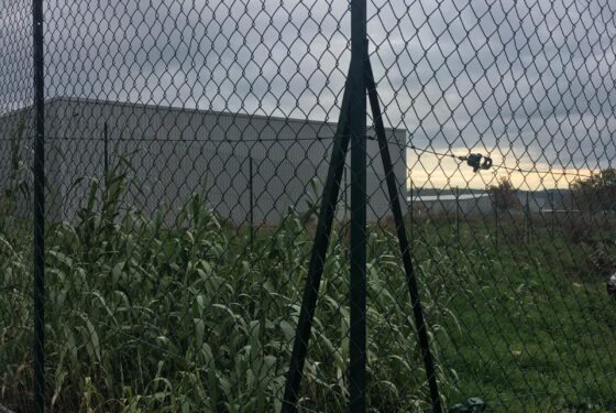 Clôturer votre jardin avec une clôture souple